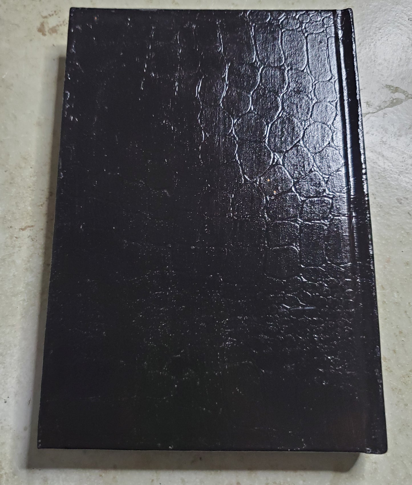 Hand painted witches cauldron journal