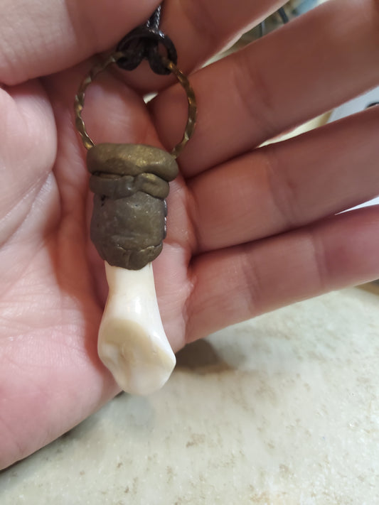 Buffalo tooth necklace