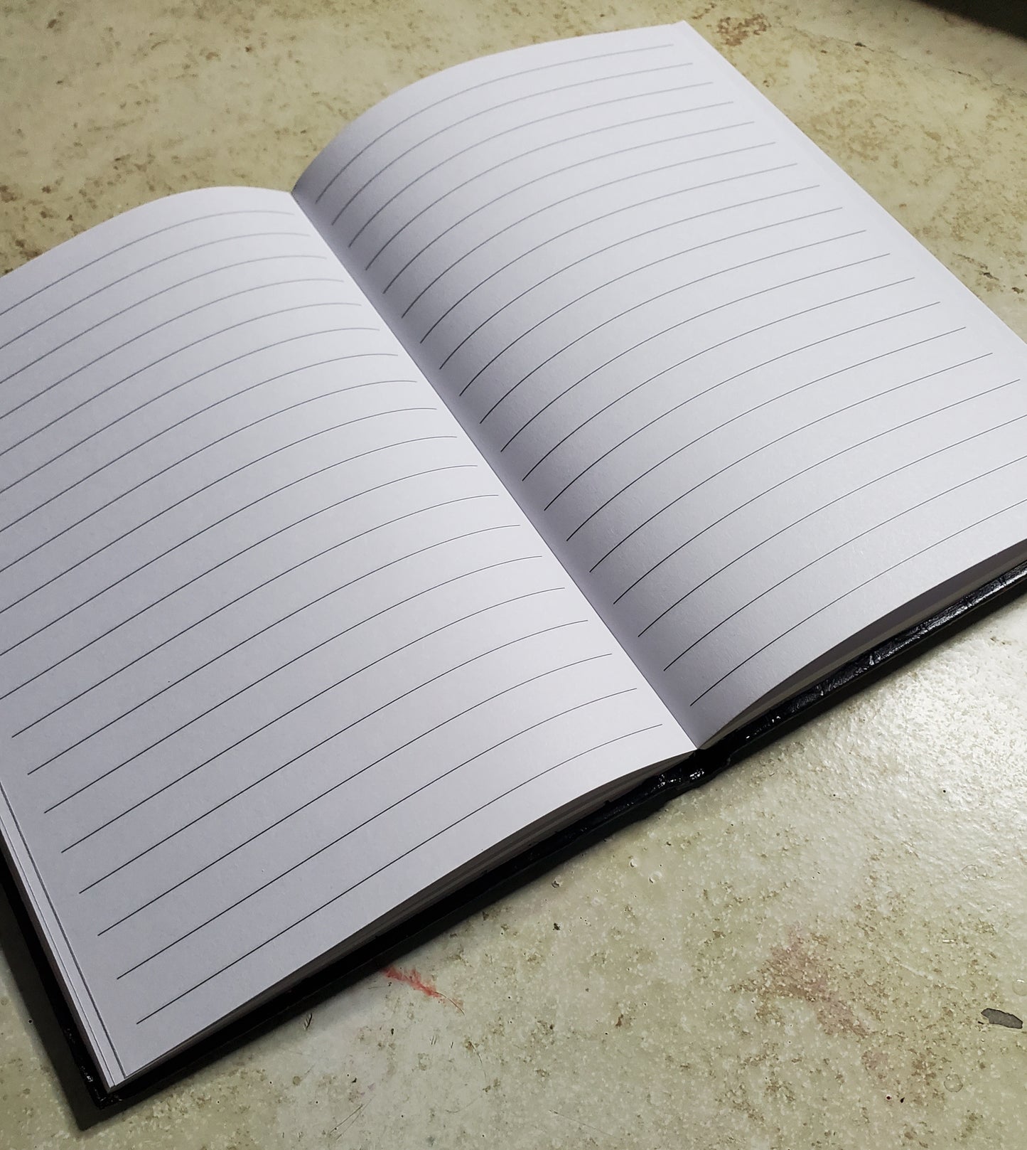 Hand painted spiderweb journal